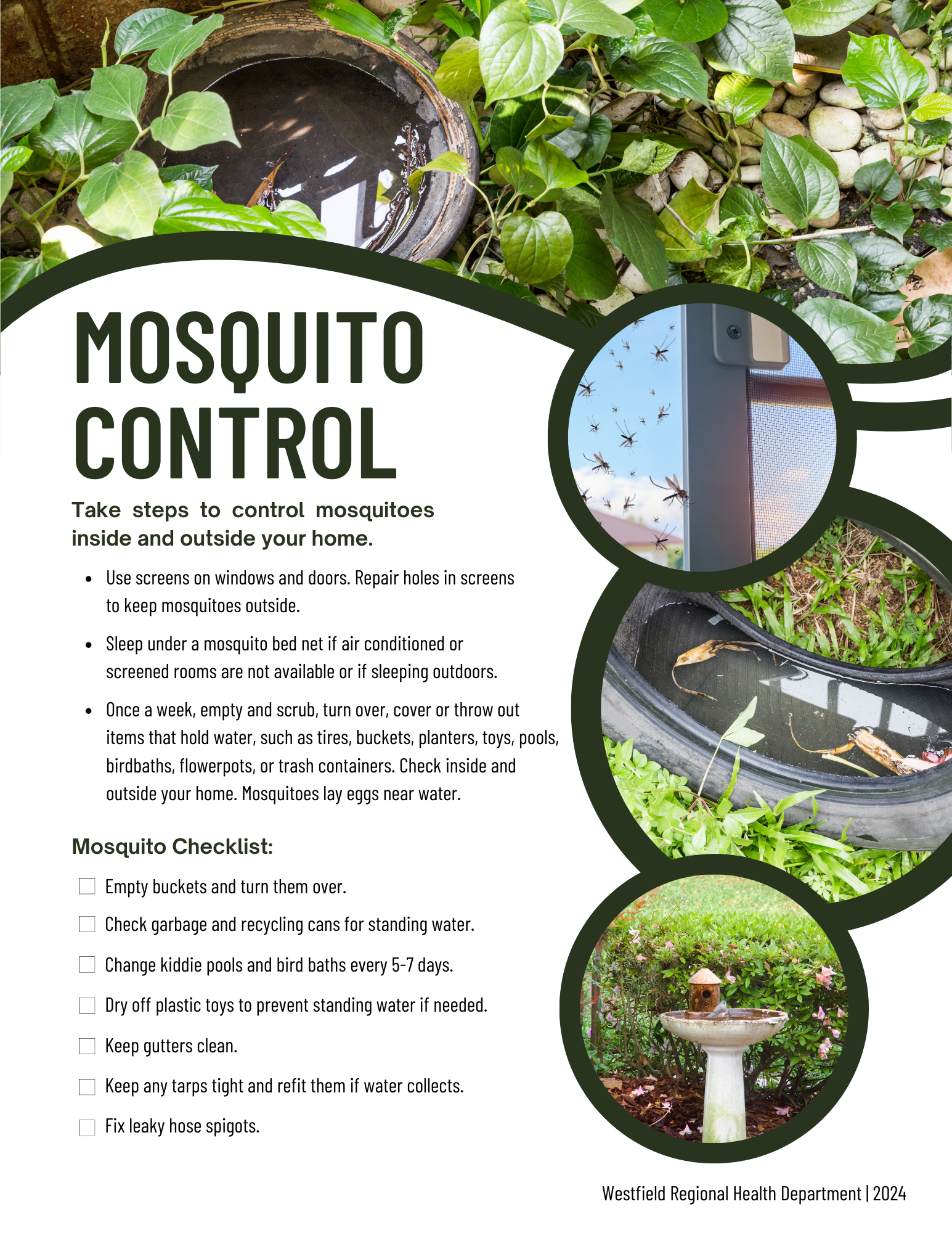 Mosquito Control flyer