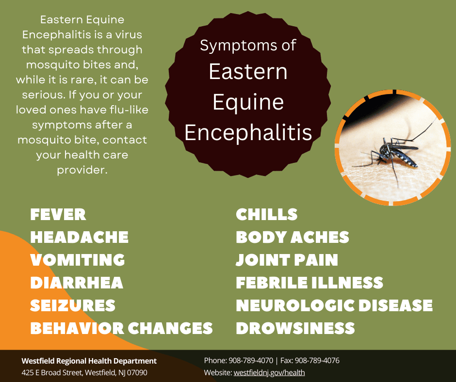 East Equine Encephalitis flyer