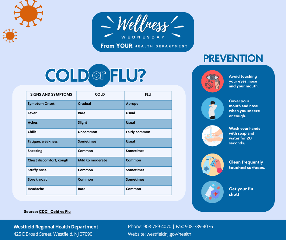 Cold or Flu Flyer