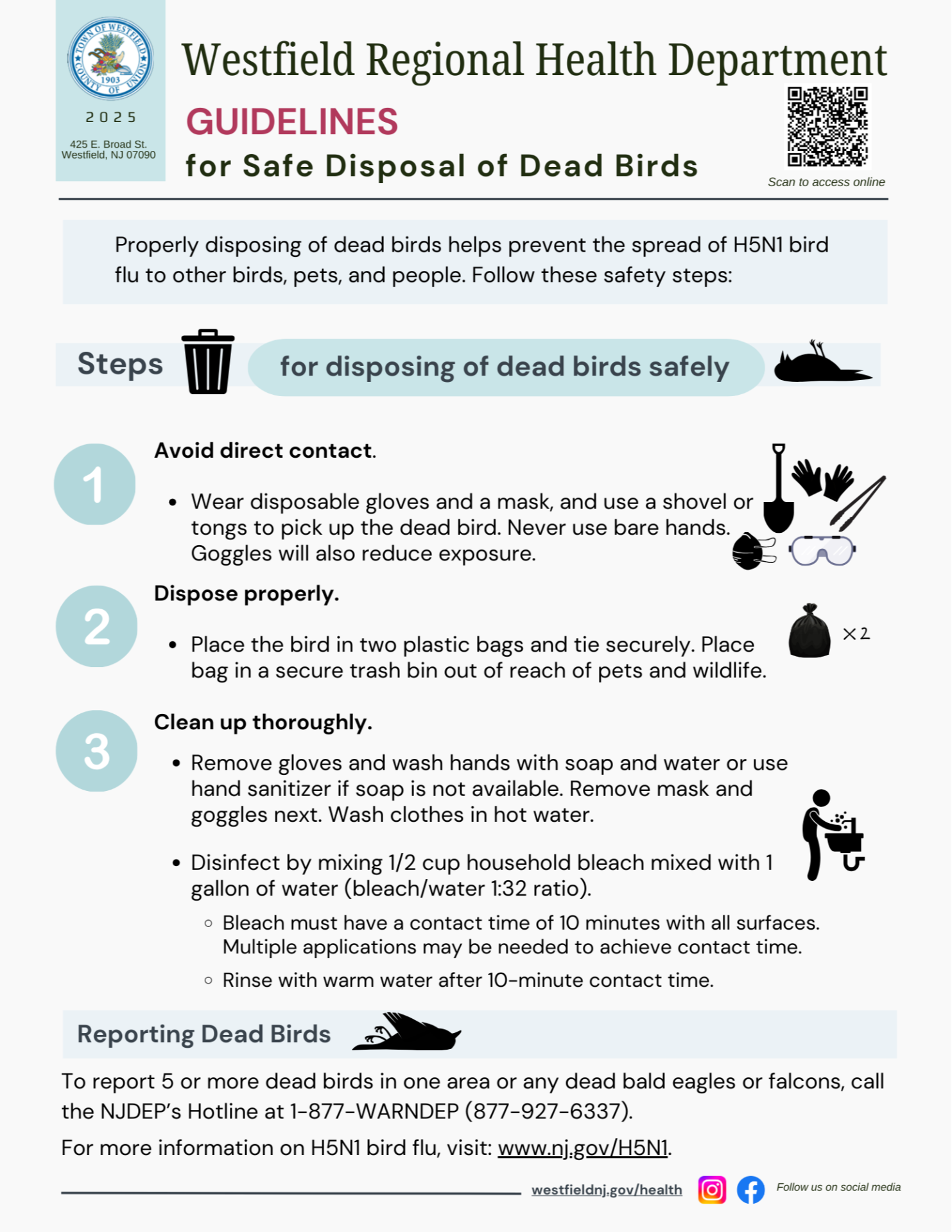 Safe Bird Disposal Guidelines