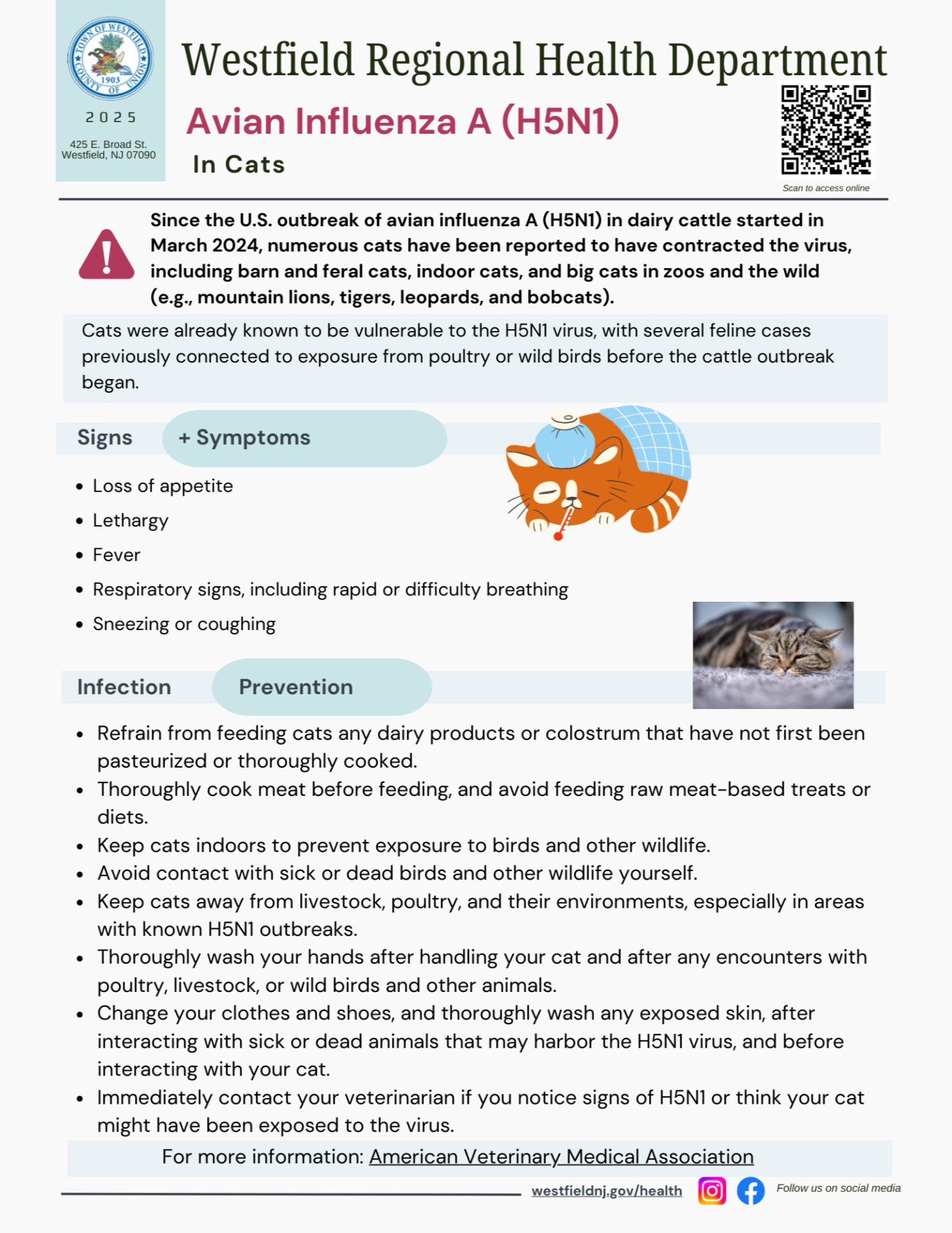 Avian Influenza in Cats