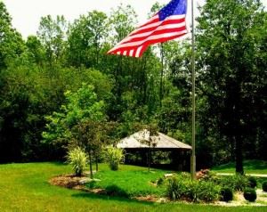 Flag Next to Small Trees