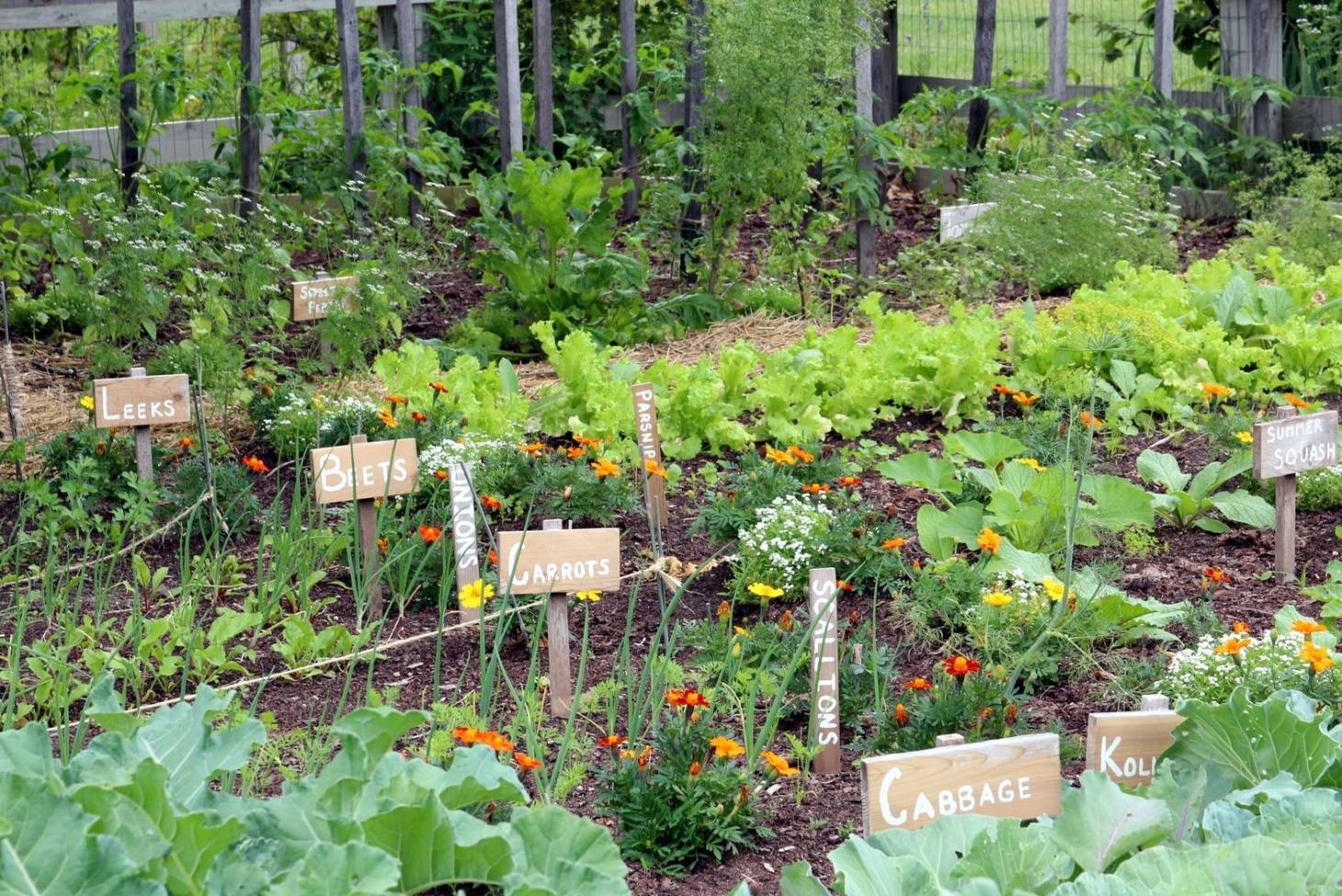 Community Garden